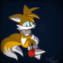Size: 1024x1024 | Tagged: safe, artist:je2er1999, miles "tails" prower, fox, crying, floppy ears, frown, gloves, gradient background, looking down, male, outline, sad, shoes, signature, sitting, socks, solo, tears of sadness