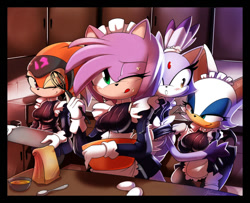 Size: 850x691 | Tagged: safe, artist:nancher, amy rose, blaze the cat, rouge the bat, shade the echidna, bat, cat, echidna, hedgehog, alternate outfit, group