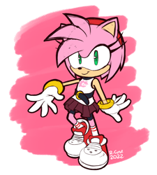 Size: 912x1014 | Tagged: safe, artist:rcase, amy rose, hedgehog, abstract background, female, solo