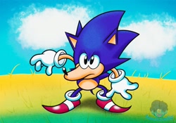 Size: 1737x1213 | Tagged: safe, artist:funnyboing, sonic the hedgehog, hedgehog, clouds, daytime, solo