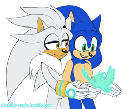 Size: 540x463 | Tagged: safe, artist:sonikkupai, silver the hedgehog, sonic the hedgehog, bird, hedgehog, duo, gay, gloves, lidded eyes, literal animal, looking at something, looking at them, male, males only, neck fluff, psychokinesis, shipping, simple background, smile, sonilver, standing, white background