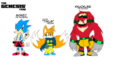 Size: 4000x2000 | Tagged: safe, artist:travelerofgales, knuckles the echidna, miles "tails" prower, sonic the hedgehog, echidna, fox, hedgehog, arm fluff, belt, character name, chest fluff, english text, fingerless gloves, frown, gloves, goggles around neck, goggles on head, looking at viewer, looking offscreen, male, males only, pants, pointing, redesign, ring, shirt, shoes, shorts, simple background, smile, socks, standing, team sonic, trio, white background
