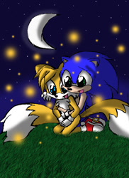 Size: 850x1170 | Tagged: safe, artist:arcticcryptid, miles "tails" prower, sonic the hedgehog, fox, hedgehog, cute, duo, firefly, gay, gloves, grass, happy, holding them, kneeling, looking at something, male, males only, moon, mouth open, nighttime, outdoors, shipping, shoes, socks, sonabetes, sonic x tails, star (sky), tailabetes