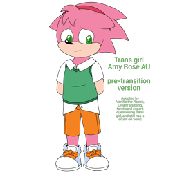 Size: 1232x1232 | Tagged: safe, artist:matttheenby, amy rose, hedgehog, alternate universe, english text, floppy ears, frown, hands behind back, headband, looking down, pre-transition, sad, shirt, shoes, simple background, solo, standing, trans female, transgender, transparent background