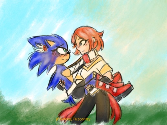 22015 - safe, artist:alyssizzle-smithness, princess elise (sonic