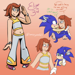 Size: 540x540 | Tagged: safe, artist:sonicaspeed123, princess elise, sonic the hedgehog, hedgehog, sonic the hedgehog (2006), blushing, carrying them, character name, duo, english text, feather, gloves, gradient background, half r63 shipping, lesbian, looking at each other, redesign, scar, shipping, shoes, smile, sonelise, sweatdrop, trans female, trans girl sonic, transgender