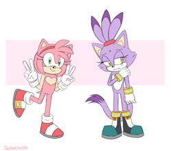 Size: 1024x901 | Tagged: safe, artist:salsacoyote, amy rose, blaze the cat, cat, hedgehog, boots, border, double v sign, duo, female, females only, gloves, hand on own arm, heart chest, lidded eyes, looking at viewer, looking offscreen, natural alt, natural amy rose, natural blaze, one fang, outfit swap, shoe swap, shoes, shy, simple background, smile, socks, standing, standing on one leg, sweatdrop, white background