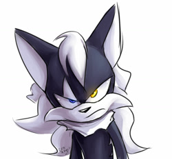 Size: 1024x950 | Tagged: safe, artist:ora-allagis, infinite the jackal, jackal, angry, frown, glowing eyes, heterochromia, looking at viewer, male, neck fluff, signature, simple background, solo, standing, white background