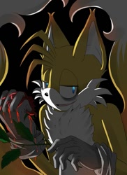 Size: 525x720 | Tagged: dead source, semi-grimdark, artist:mercybhk, miles "tails" prower, oc, oc:villain miles, fox, comic:where was my hero?, aged up, black background, bleeding, blood, chest fluff, ear fluff, evil, gloves, lidded eyes, looking at viewer, male, older, rose, simple background, smile, solo