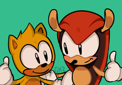 Size: 1000x700 | Tagged: safe, artist:doubleboostz, mighty the armadillo, ray the flying squirrel, armadillo, flying squirrel, 2020, blushing, classic mighty, classic ray, double thumbs up, duo, gloves, green background, looking at each other, male, males only, signature, simple background, smile, standing