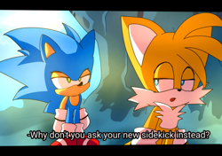 Size: 1920x1355 | Tagged: safe, artist:iceblizzardstorm, miles "tails" prower, sonic the hedgehog, fox, hedgehog, abstract background, annoyed, cave, chest fluff, dialogue, duo, english text, gloves, lidded eyes, looking at each other, looking behind, male, males only, no mouth, shoes, socks, standing
