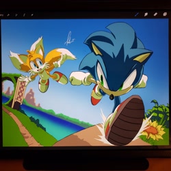 Size: 1920x1920 | Tagged: safe, artist:marcusartdesign, miles "tails" prower, sonic the hedgehog, fox, hedgehog, abstract background, chest fluff, clenched fists, duo, emerald hill, flower, flying, gloves, grass, male, males only, mouth open, running, shoes, signature, smile, socks, three tails