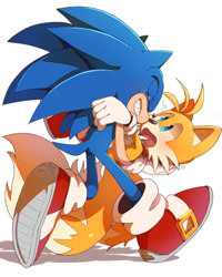 Size: 800x1000 | Tagged: safe, artist:緘咲, miles "tails" prower, sonic the hedgehog, fox, hedgehog, blushing, carrying them, clenched teeth, duo, eyes closed, gay, gloves, looking at them, male, males only, mouth open, shipping, shoes, smile, socks, sonic x tails, walking