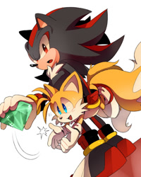 Size: 800x1000 | Tagged: safe, artist:緘咲, miles "tails" prower, shadow the hedgehog, fox, hedgehog, carrying them, chaos emerald, chest fluff, duo, gay, gloves, holding something, looking at something, looking at viewer, male, males only, mouth open, shadails, shipping, shoes, simple background, socks, standing, sweatdrop, white background