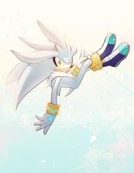 Size: 1194x1542 | Tagged: safe, artist:nisibo25, silver the hedgehog, solo