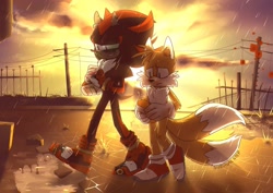Size: 2047x1452 | Tagged: dead source, safe, artist:survivalstep, miles "tails" prower, shadow the hedgehog, fox, hedgehog, sonic forces, duo, ear fluff, frown, gloves, male, males only, miles electric, outdoors, rain, shoes, socks, stain, sunset, walking