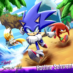 Size: 1400x1400 | Tagged: safe, artist:frankwolf14, knuckles the echidna, miles "tails" prower, sonic the hedgehog, sonic heroes, abstract background, english text, looking at viewer, male, males only, palm tree, running, seaside hill, spinning tails, team sonic, trio