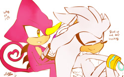 Size: 800x500 | Tagged: safe, artist:icy-cream-24, espio the chameleon, silver the hedgehog, hedgehog, 2017, brushing, chameleon, cute, dialogue, duo, english text, eyes closed, gloves, heart tail, looking at them, male, males only, neck fluff, signature, silverbetes, silvio, simple background, sitting, smile, white background