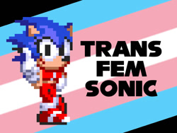 Size: 1000x750 | Tagged: safe, artist:_calcium, sonic the hedgehog, hedgehog, english text, female, looking at viewer, mod, pixel art, pointing, pride flag background, smile, solo, sonic the hedgehog 3, standing on one leg, trans female, trans girl sonic, trans pride, transgender