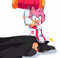 Size: 4096x3947 | Tagged: safe, artist:violetmadness7, amy rose, human, batman, crossover, duo