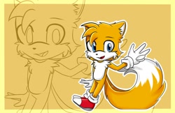 Size: 1500x974 | Tagged: safe, artist:purpleemerald19, miles "tails" prower, fox, 2018, abstract background, cute, ear fluff, echo background, gloves, looking at viewer, male, mouth open, outline, posing, shoes, socks, solo, tailabetes, v sign