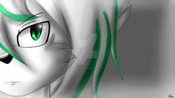 Size: 1024x576 | Tagged: safe, artist:purpleemerald19, oc, oc:asumi the fox-cat, hybrid, 2016, cheek fluff, close-up, deviantart watermark, female, fox-cat, frown, looking at viewer, oc only, signature, solo