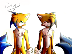 Size: 672x512 | Tagged: safe, artist:purpleemerald19, oc, fox, 2017, adult, chest fluff, colored tail, duality, duo, dyed hair, evil, frown, gloves, green eyes, hair over one eye, oc only, red eyes, simple background, smile, standing, two sides, two tails, unknown oc, white background, yellow fur