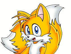 Size: 800x600 | Tagged: safe, artist:foxtails, miles "tails" prower, fox, 2005, colored ears, looking at viewer, male, mouth open, simple background, smile, solo, standing, white background