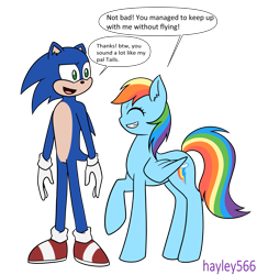 Size: 2434x2600 | Tagged: safe, artist:hayley566, sonic the hedgehog, crossover, dialogue, duo, my little pony, signature