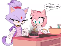 Size: 1400x1052 | Tagged: safe, artist:toonsite, amy rose, blaze the cat, cooking, duo, frying pan, inadvisable cooking