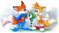 Size: 3000x1681 | Tagged: safe, artist:montyth, miles "tails" prower, fox, 2022, abstract background, cape, crossover, duo, flower, holding something, looking at each other, lucky swiftail, male, males only, mouth open, smile, standing