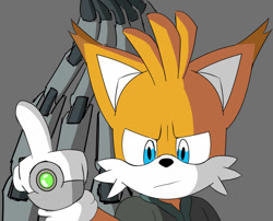 Size: 1024x829 | Tagged: safe, artist:tacorooster, miles "tails" prower, nine, fox, sonic prime, 2022, colored ears, cyborg, ear fluff, flipping the bird, frown, grey background, hoodie, looking down, middle finger, simple background, solo