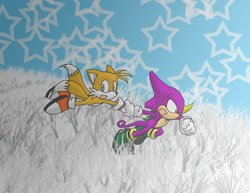Size: 737x570 | Tagged: safe, artist:tigerfog, espio the chameleon, miles "tails" prower, 2004, abstract background, duo, grass, holding hands, looking ahead, looking back, male, males only, mouth open, outdoors, running, star (symbol)