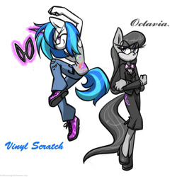 Size: 1000x1000 | Tagged: safe, artist:hoshinokokaishi, 2013, barely sonic related, character name, duo, duo female, earth pony, female, females only, mobianified, octavia melody, pony, psychokinesis, simple background, unicorn, vinyl scratch, white background