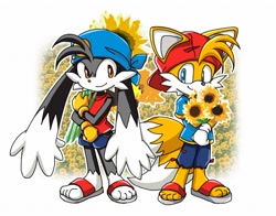 Size: 550x431 | Tagged: safe, artist:dragonlord99, miles "tails" prower, flower, klonoa