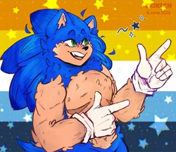 Size: 2048x1766 | Tagged: safe, artist:sccredhead, sonic the hedgehog, abstract background, ace, aro ace pride, aromantic, icon, male, mouth open, pointing, pride, pride flag, pride flag background, smile, solo, sparkles, star (symbol), top surgery scars, trans male, transgender