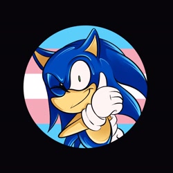 Size: 2048x2048 | Tagged: safe, artist:smolwolfy, sonic the hedgehog, black background, looking at viewer, pride, pride flag, simple background, smile, solo, thumbs up, trans male, trans pride, transgender, wink
