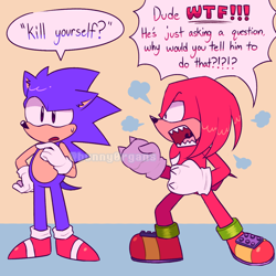Size: 1300x1300 | Tagged: safe, artist:bunny0rgans, knuckles the echidna, sonic the hedgehog, abstract background, angry, classic knuckles, classic sonic, dialogue, duo, english text, meme, misunderstanding, mouth open, sweatdrop, wtf?