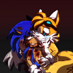 Size: 900x900 | Tagged: semi-grimdark, artist:tairusuku, miles "tails" prower, sonic the hedgehog, 2017, bad end, bleeding, blood, crying, deviantart watermark, frown, goggles, goggles on head, gradient background, holding them, imminent death, injured, lidded eyes, looking at each other, nosebleed, scratch (injury), smile, wound