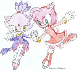Size: 703x638 | Tagged: safe, artist:samcybercat, amy rose, blaze the cat, cat, hedgehog, 2006, amy x blaze, amy's halterneck dress, blaze's tailcoat, cute, female, females only, lesbian, looking at them, mouth open, shipping, traditional media