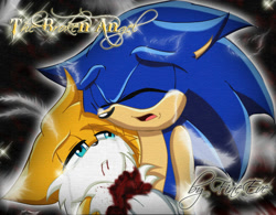 Size: 900x701 | Tagged: semi-grimdark, artist:silveralchemist09, miles "tails" prower, sonic the hedgehog, fanfic:the broken angel, 2010, abstract background, bleeding, bleeding from mouth, blood, crying, english text, eyes closed, fanfiction art, floppy ears, holding them, imminent death, injured, lidded eyes, looking at them, older, outline, sad, tears, tears of sadness