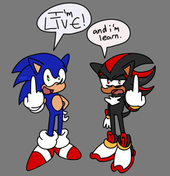 Size: 1926x1989 | Tagged: safe, artist:tom-is-online, shadow the hedgehog, sonic the hedgehog, dialogue, duo, english text, flat colors, gay, grey background, live and learn, looking at viewer, meme, middle finger, mouth open, shadow x sonic, shipping, simple background, speech bubble, standing, talking to viewer