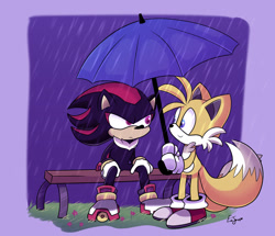 Size: 1280x1103 | Tagged: safe, artist:pinksodaeve, miles "tails" prower, shadow the hedgehog, bench, cute, duo, flower, gay, grass, holding something, looking at each other, outdoors, rain, shadails, shadowbetes, shipping, signature, sitting, smile, tailabetes, umbrella