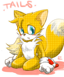 Size: 500x600 | Tagged: safe, artist:shanghairuby, miles "tails" prower, 2007, blushing, character name, kneeling, looking at viewer, shadow (lighting), signature, simple background, white background