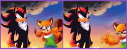 Size: 3414x1344 | Tagged: safe, artist:marleyla, marine the raccoon, shadow the hedgehog, 2020, abstract background, backing away, clouds, comic, duo, faic, frown, redraw, signature, smile, standing
