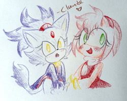 Size: 1024x810 | Tagged: safe, artist:luucalio, amy rose, blaze the cat, cat, hedgehog, 2018, amy x blaze, amy's halterneck dress, blaze's tailcoat, blushing, cute, female, females only, heart, lesbian, looking at viewer, mouth open, shipping, traditional media
