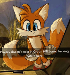 Size: 941x1006 | Tagged: safe, artist:newt-moss, miles "tails" prower, abstract background, caption, cute, english text, meme, redraw, smile, solo, standing, tailabetes