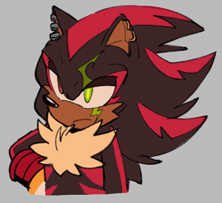 Size: 728x668 | Tagged: safe, artist:frostiios, shadow the hedgehog, bust, chipped ear, ear piercing, frown, grey background, hand on hip, heterochromia, looking ahead, redesign, scar, simple background, solo, standing