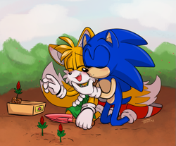 Size: 719x595 | Tagged: safe, artist:devotedsidekick, miles "tails" prower, sonic the hedgehog, abstract background, blushing, clouds, cute, daytime, duo, eyes closed, flower, gardening, gay, holding something, kiss on cheek, kneeling, outdoors, plant, shipping, shovel, sonabetes, sonic x tails, tailabetes