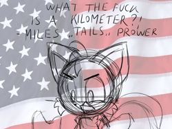 Size: 1600x1200 | Tagged: safe, artist:aaaatails, miles "tails" prower, abstract background, american flag, country flag, english text, flag background, line art, mouth open, sketch, solo